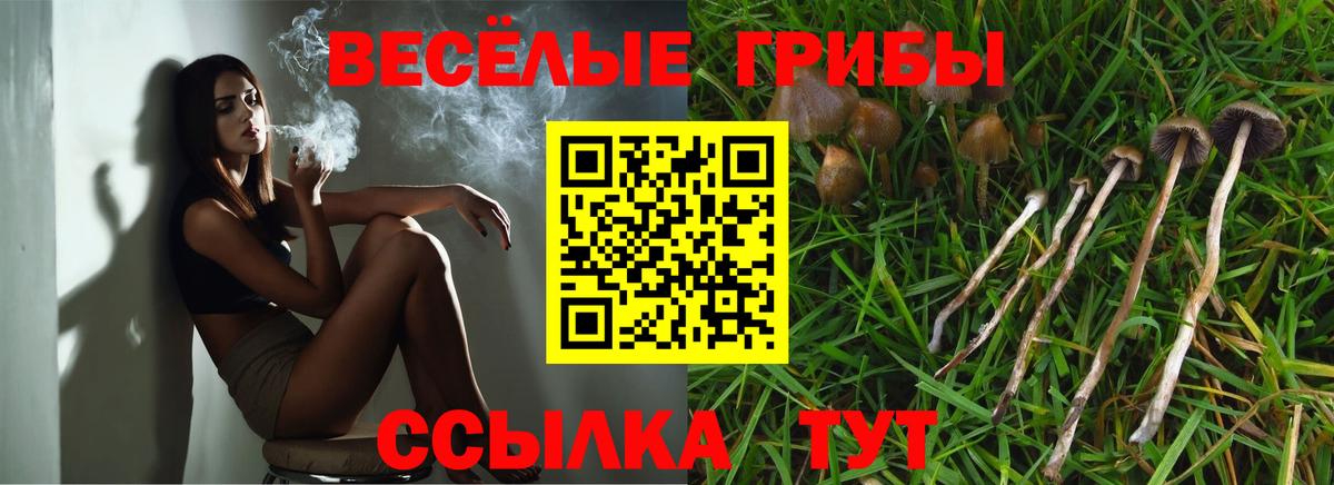 купить   Вход с VPN  Унеча  Псилоцибиновые грибы прущие грибы 